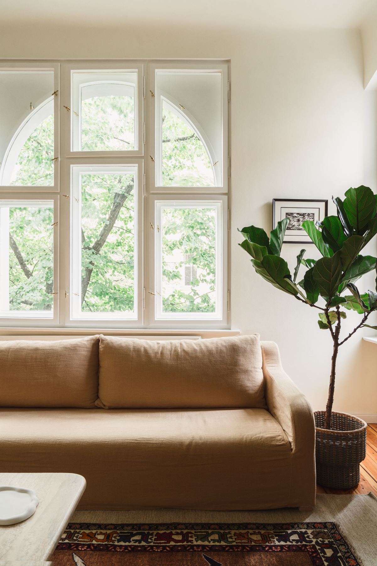 A linen sofa below a tall arched window in the living room, with a fiddle-leaf fig beside it and a patterned rug on wide pine boards.